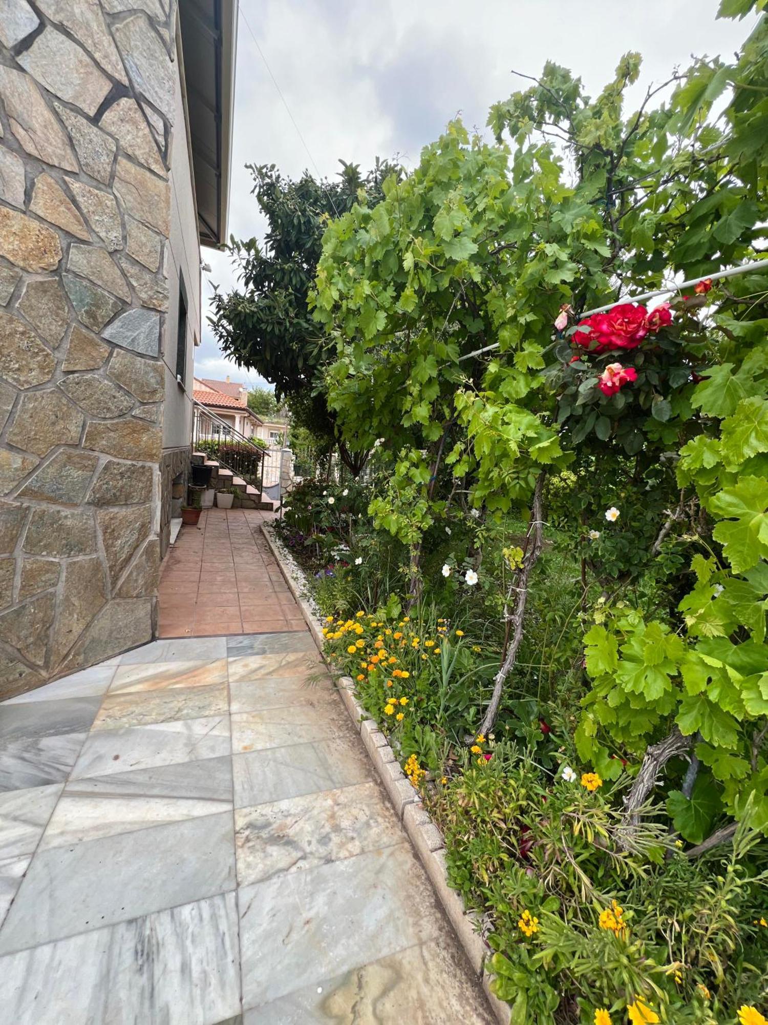 Estupenda Villa En Las Afueras Colmenar de Oreja Εξωτερικό φωτογραφία